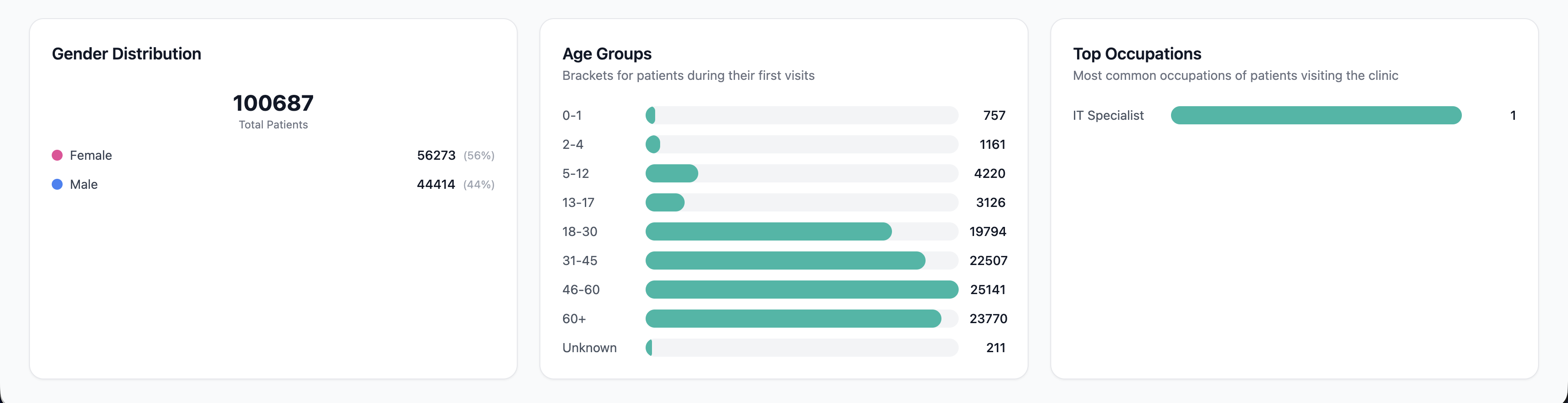 The Patient Demographics section — gender distribution, age groups, and top occupations